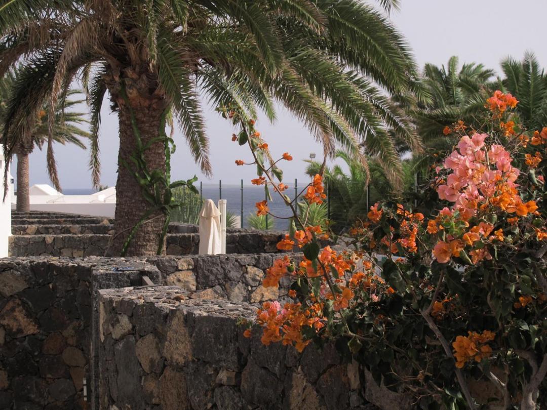 Bungalow Goa Pool View, Playa Roca Residence Sea Front Access - Free Ac - Wifi 코스타 테기세 외부 사진